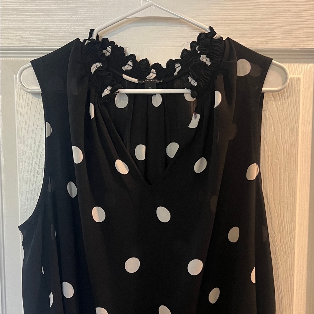 Ann Taylor Polka Dot Blouse